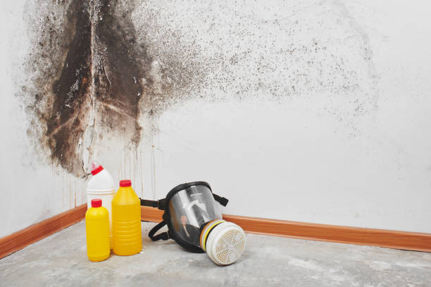 Coupeville, WA Mold Remediation Company