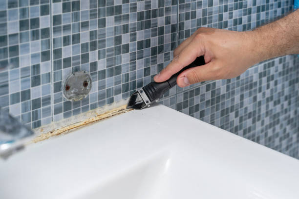 Professional Mold Remediation in Coupeville, WA