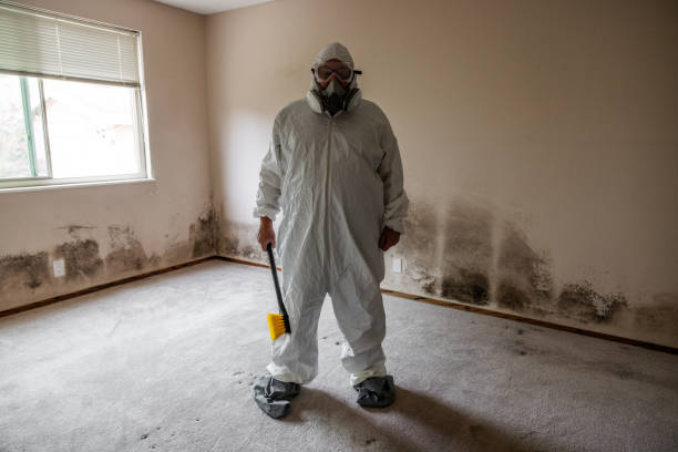 Best Residential Mold Remediation in Coupeville, WA